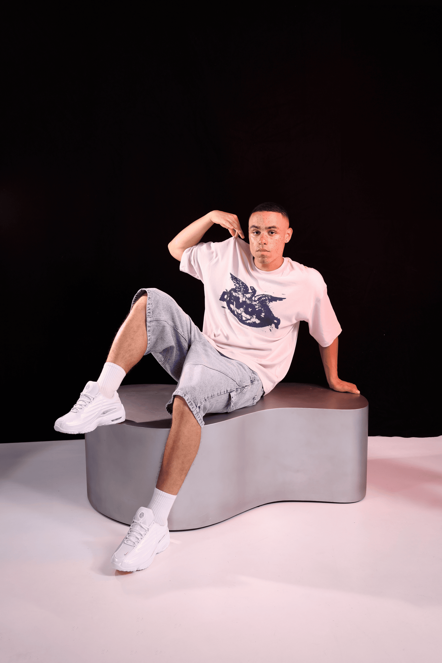 PHOENIX T-SHIRT GREY